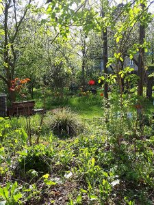 (c) 2018 Carmen Mayer, alle Rechte vorbehalten / all rights reserved Hauptstadtgarten. Fußball, Trauer
